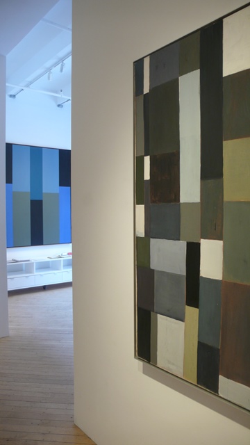 Pat Lipsky: Twenty Years: Installation Shot Pat Lipsky: Twenty Years: Installation Shot
