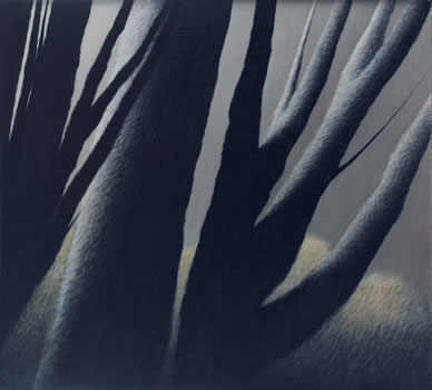 Robert Kipniss: Large Trees at Dusk Robert Kipniss: Large Trees at Dusk